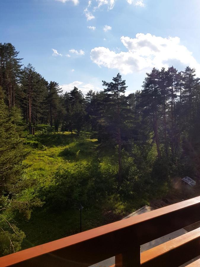 Zlatibor Holiday, Vila Leonardo VI Esterno foto